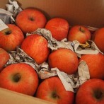 PC222825 - コピー